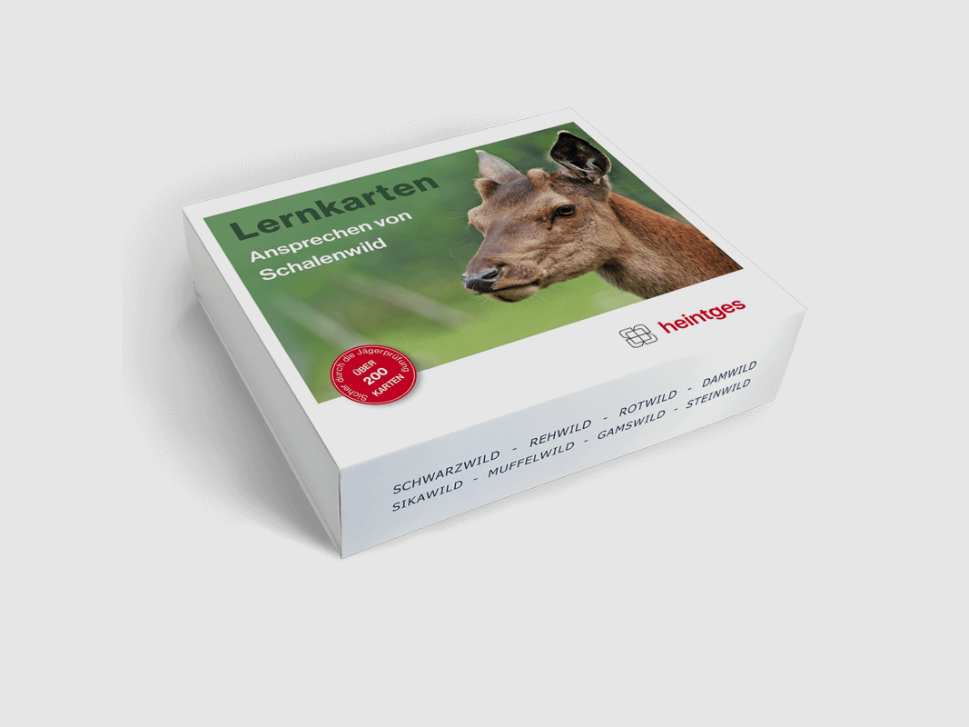 Lernkarten "Ansprechen von Schalenwild"