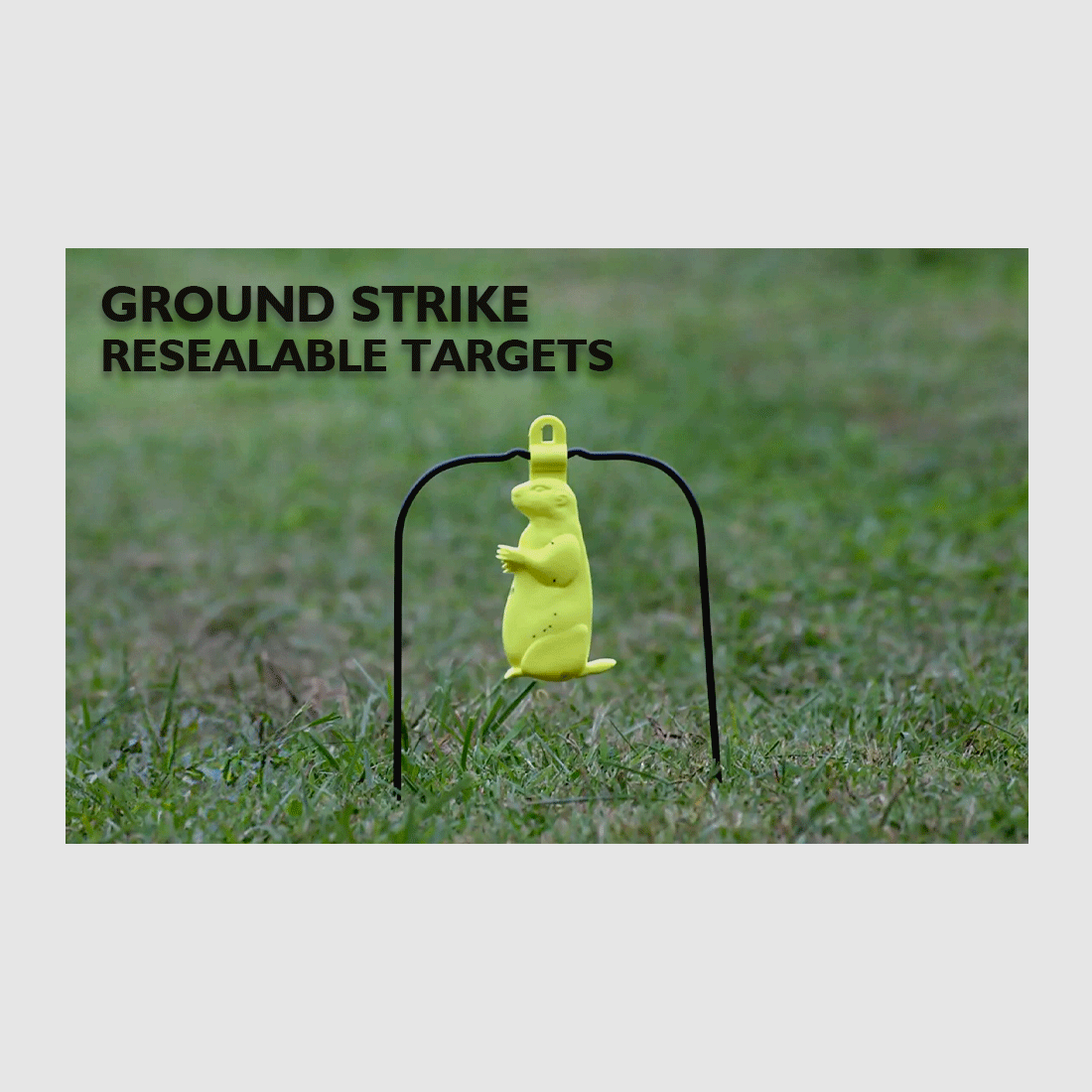Birchwood Ziel Ground Strike Praire Target, Bild 2 von 2