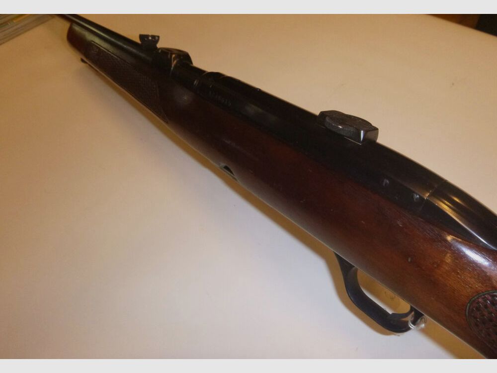 Winchester 100