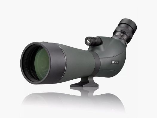 ALPEN OPTICS Ali 20-60x80 Spettroscopio 45°