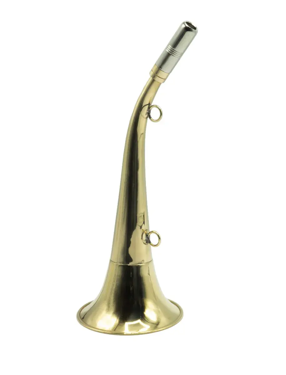Pavillonrufhorn Januel 30 cm, Bild 6 von 12