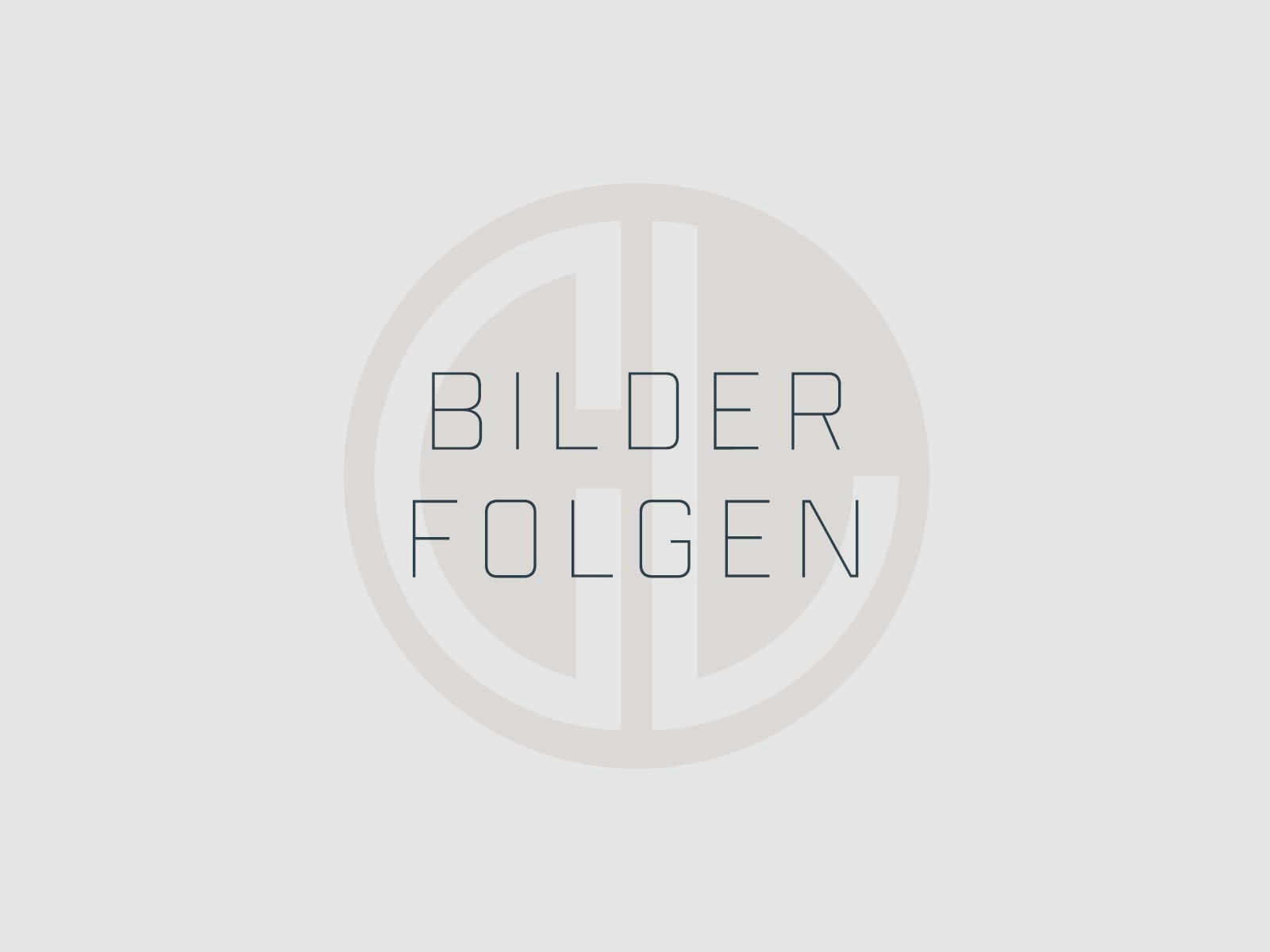 RE.BULLET – RANGER - GOLD Tip