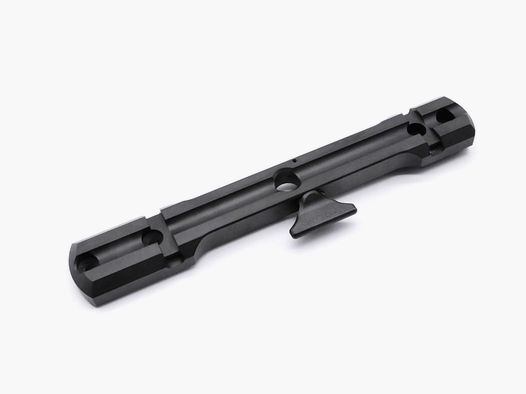 Dentler FMGS-00330 guida di base BASIS per Bergara BA13