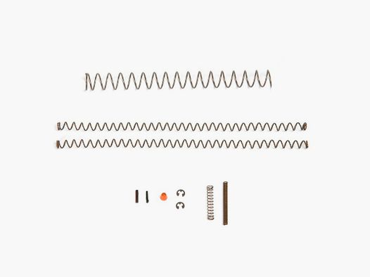 Set di molle Desert Eagle VII 357Mag