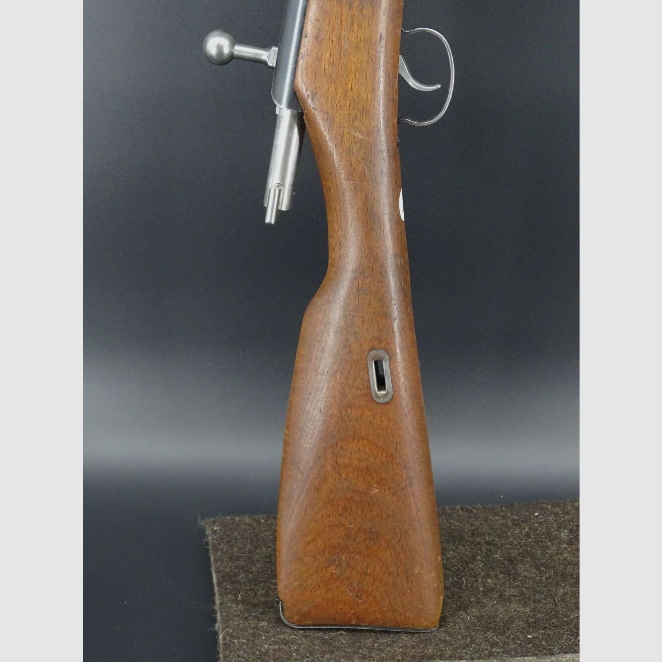 Mosin Nagant Polen " 11 " Bj 1954 Kaliber .22lr Mosin Wehrsport Karabiner Polen