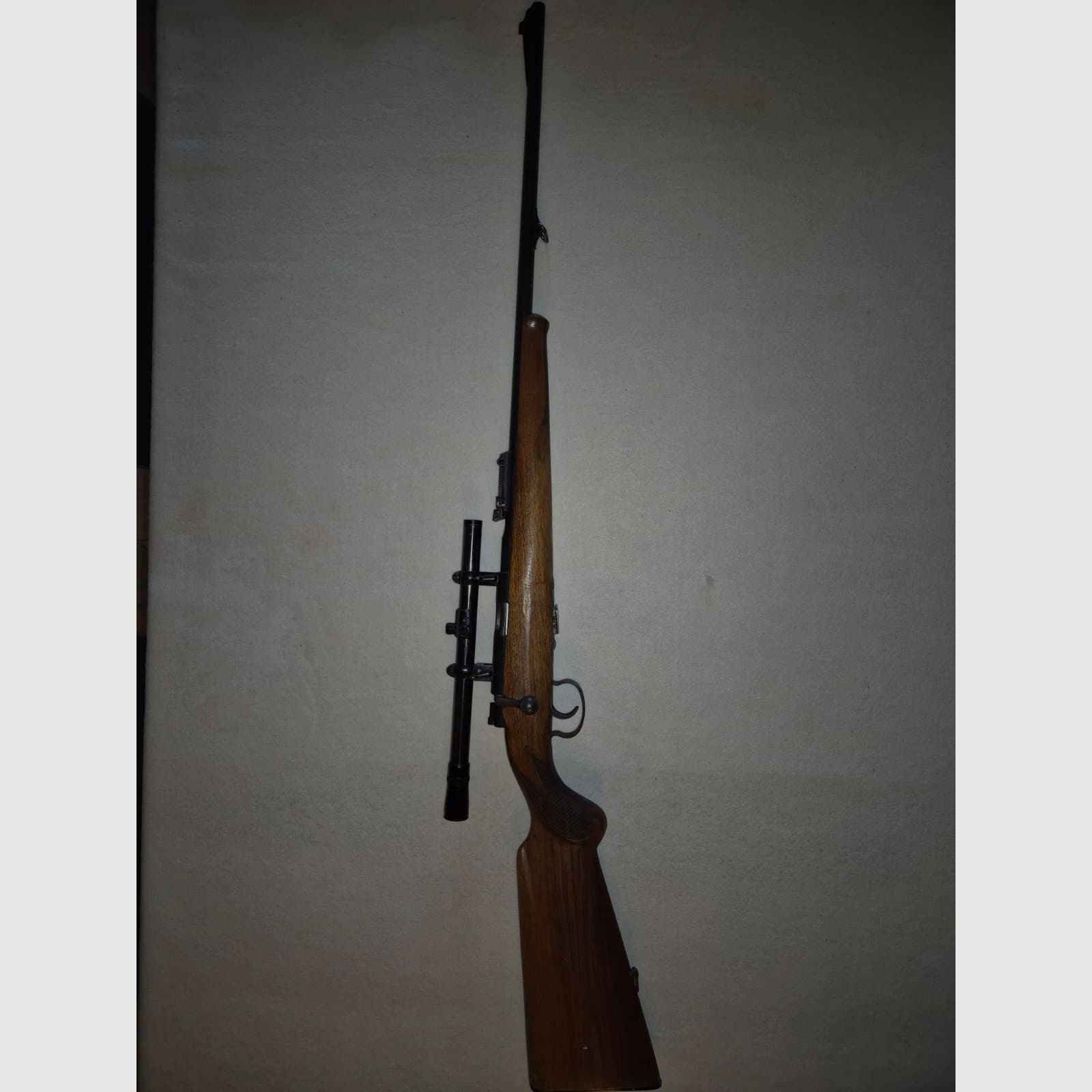 small caliber rifle