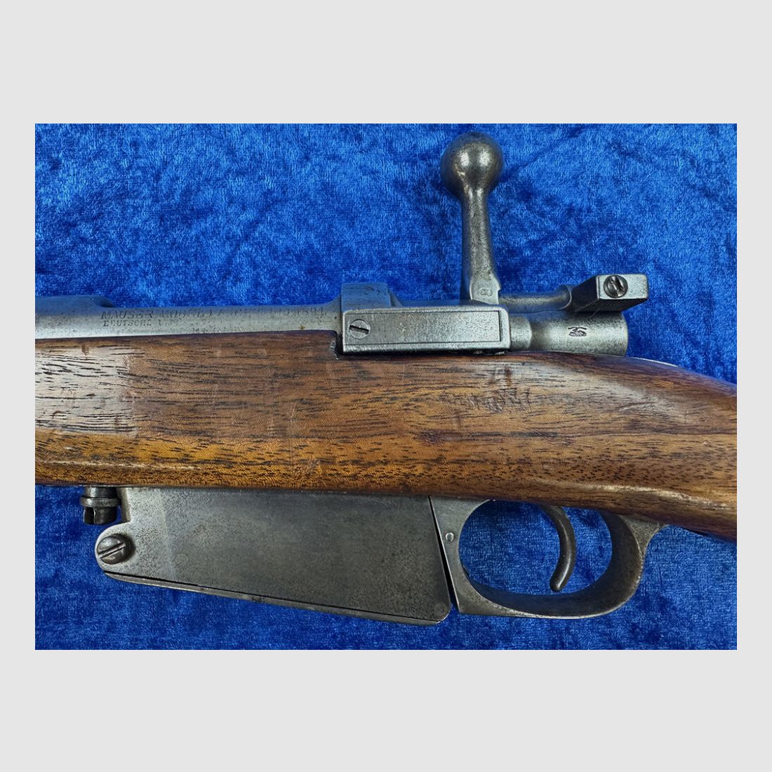 DWM 1891 Argentino, Bild 3 von 7