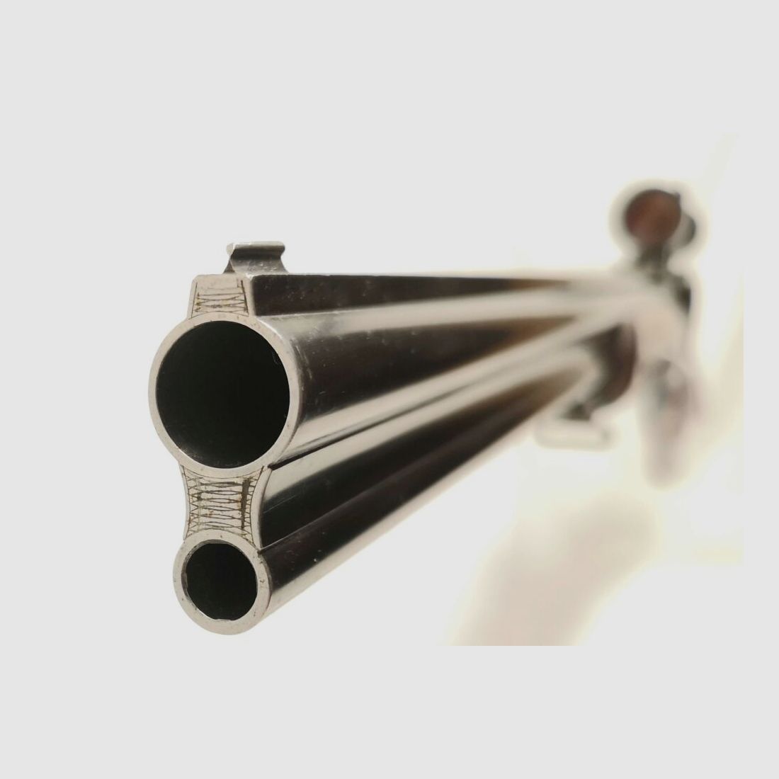 Esha R. Flückiger Switzerland - Combination rifle with interchangeable barrel