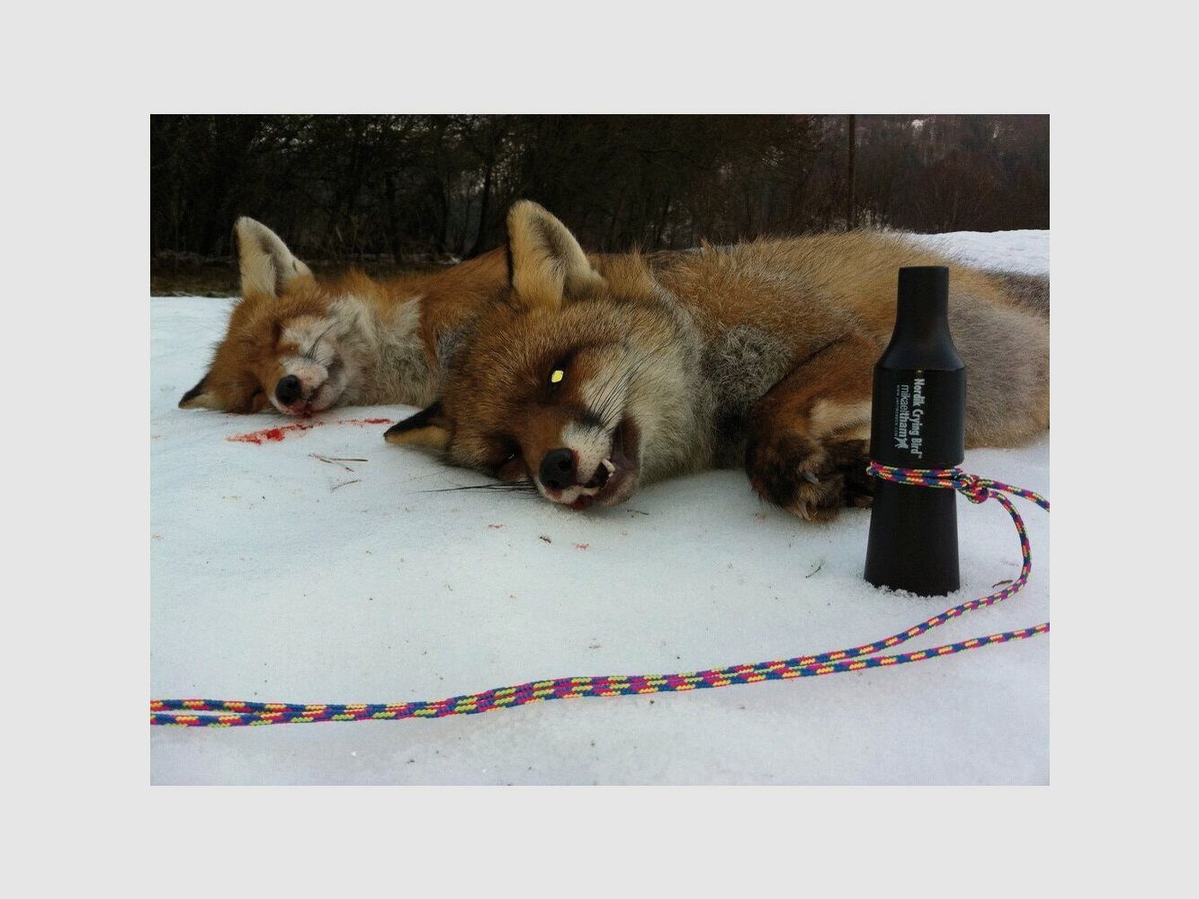 Appeau renard – Nordik Predator, image 5 sur 5