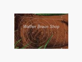 Spiegel für DJV-Scheibe Nr.1 Format: 21x21 cm aus Papier