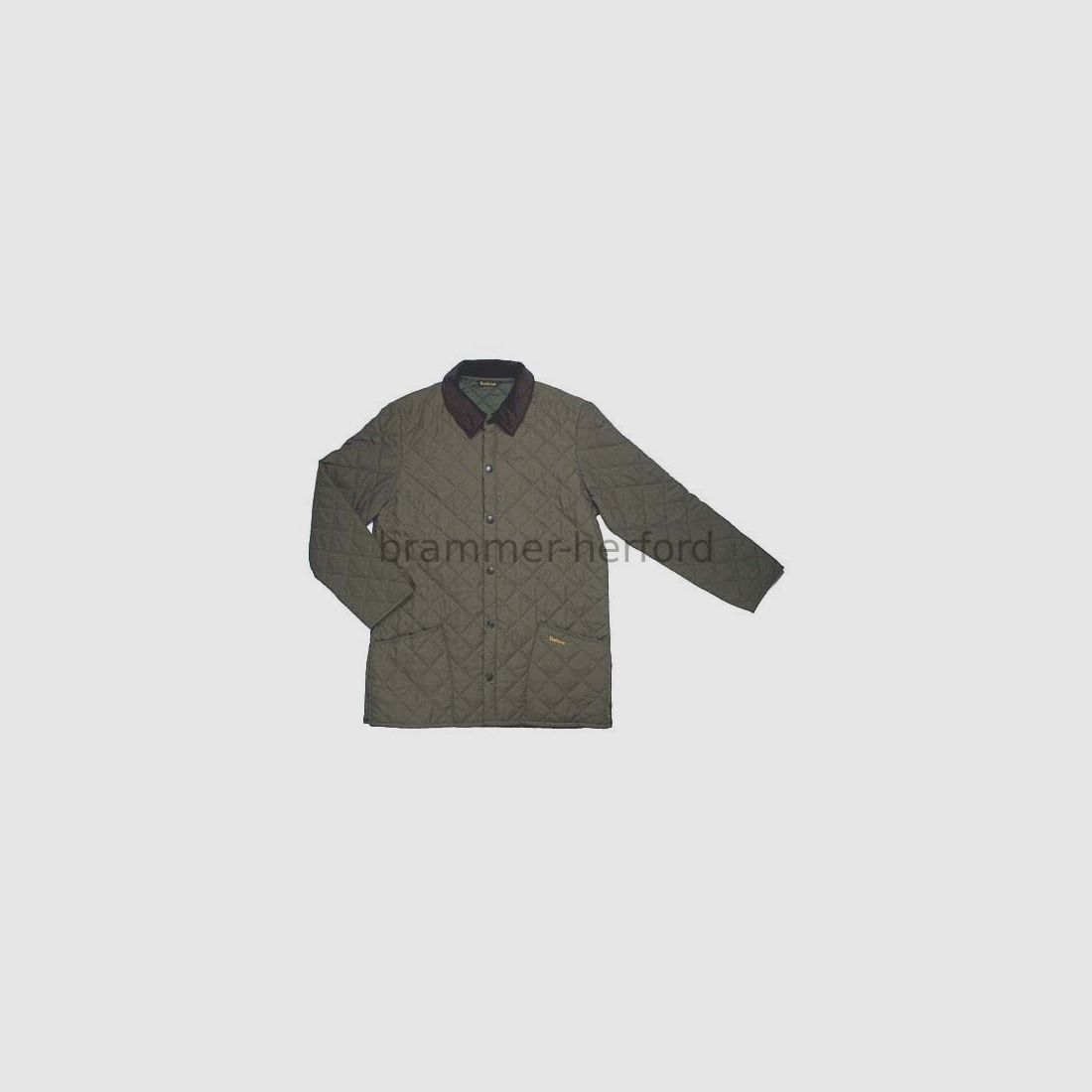 Barbour Eskdale grün