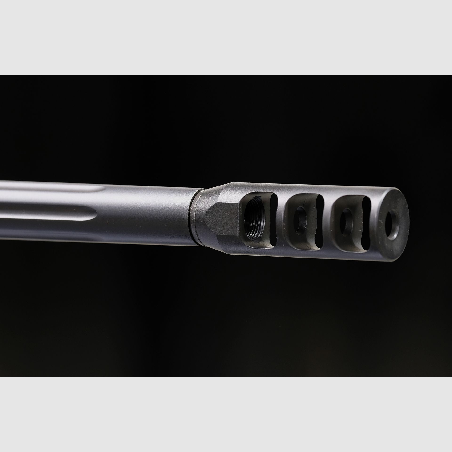 Savage 110 BA «Stealth», image 10 sur 10