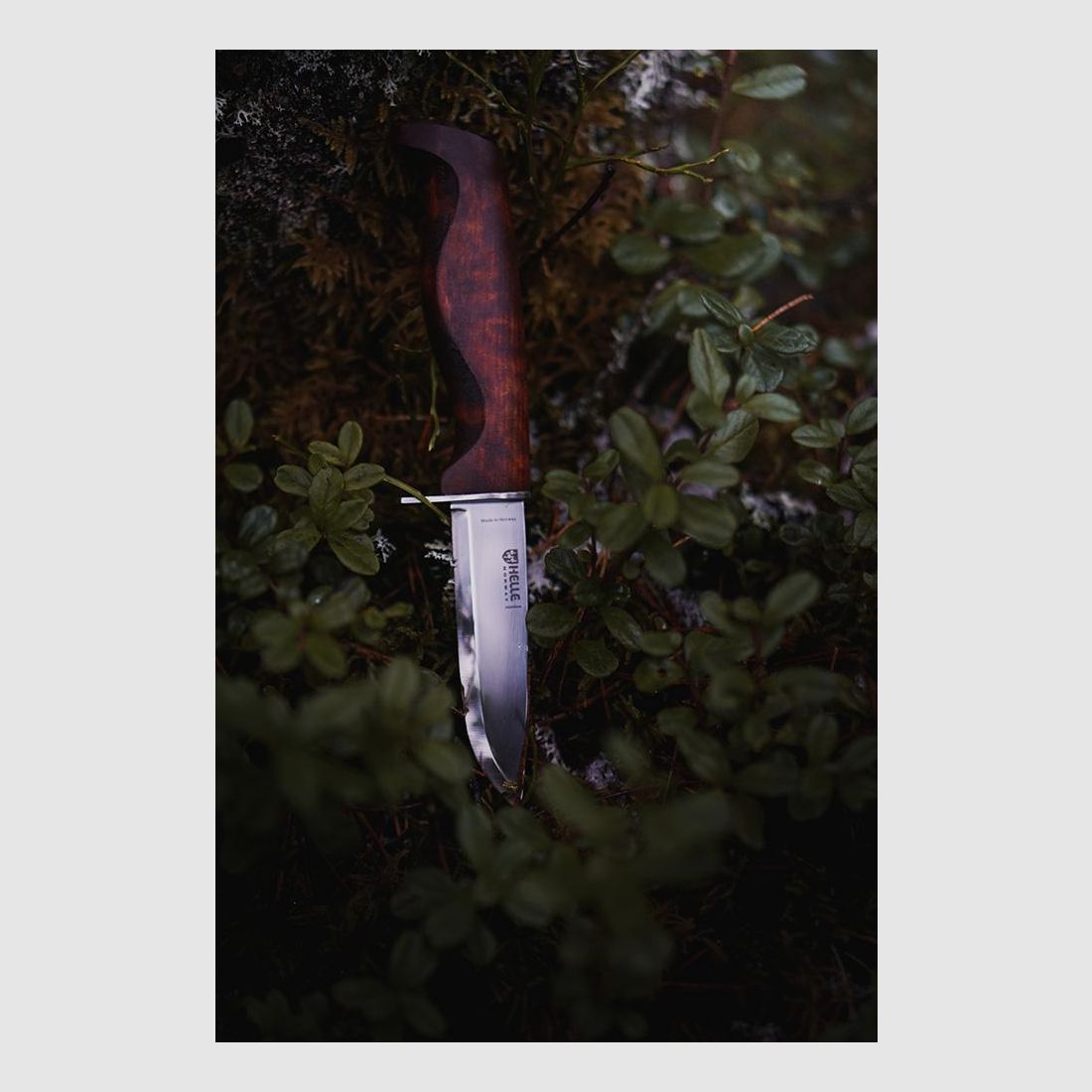 Coltello da caccia Helle Speider, immagine 3 di 3