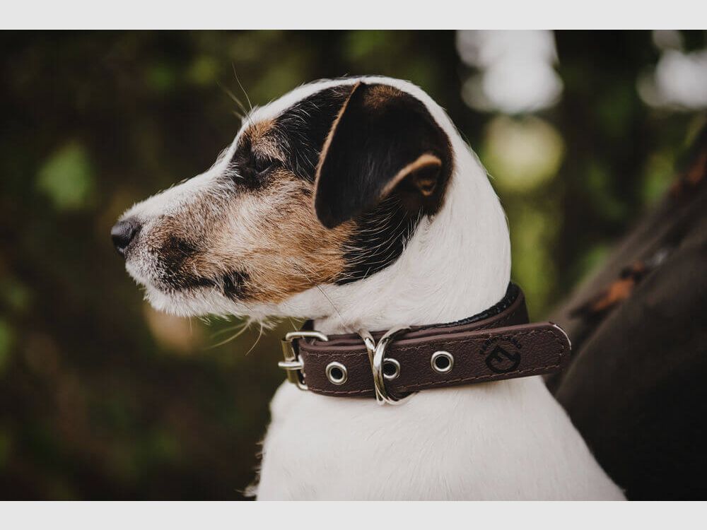 Halsband Comfort - Bruin