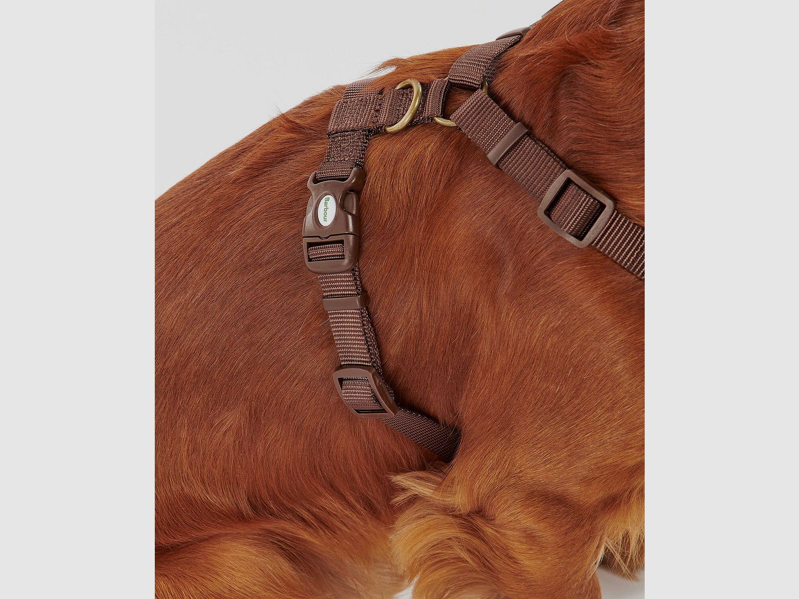 Barbour Hunde Geschirr Travel & Exercise