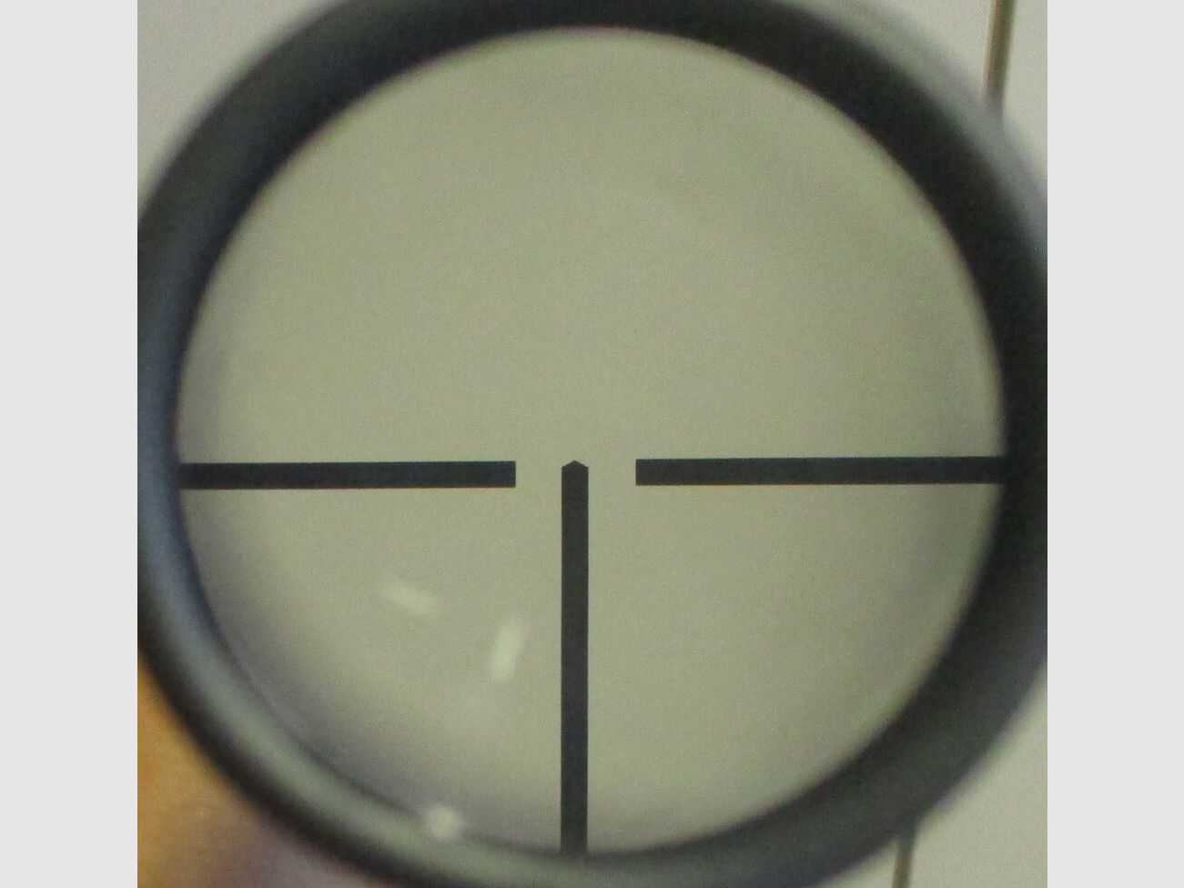 Zeiss Diatal-Z