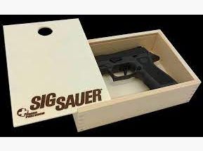 SIG Sauer Pistolen Prüfkasten