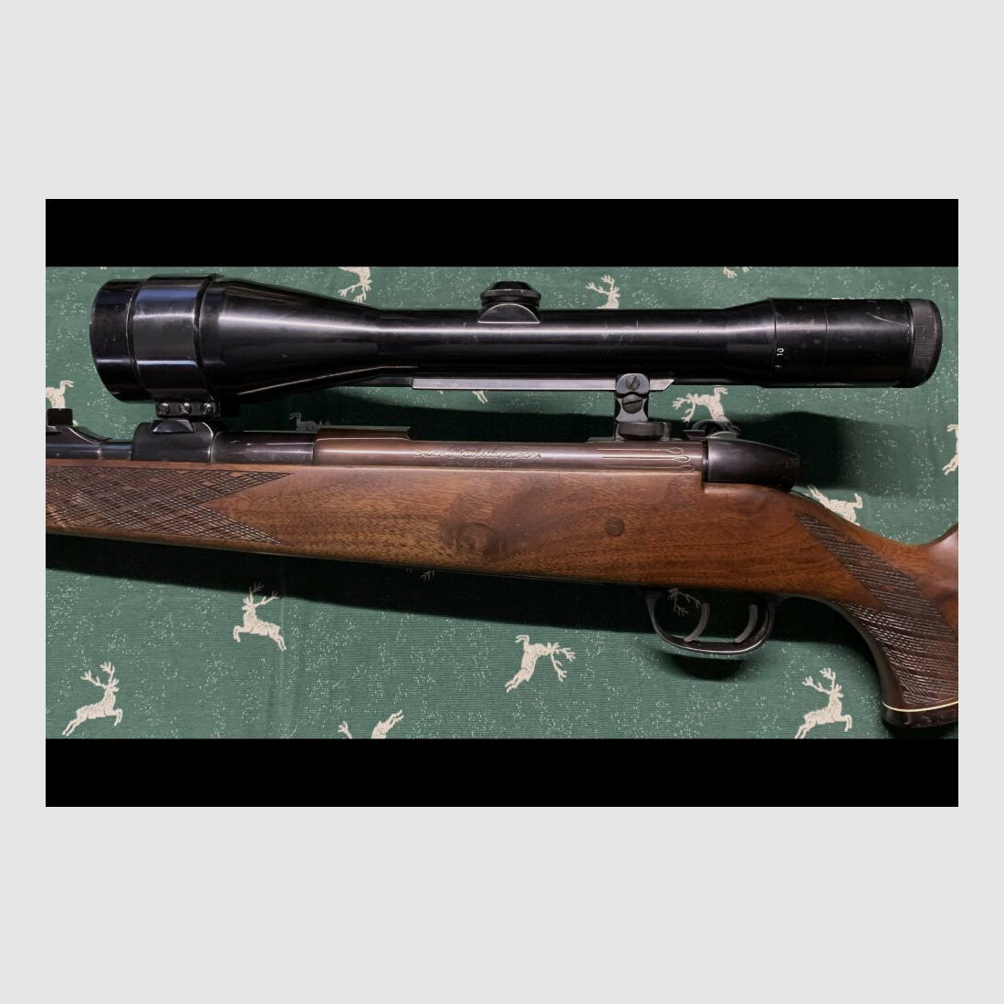 Sauer Weatherby Europa 8x68S