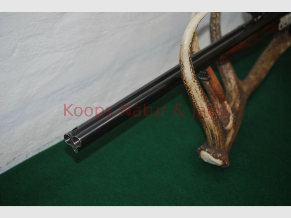 Sauer & Sohn 3000 AL