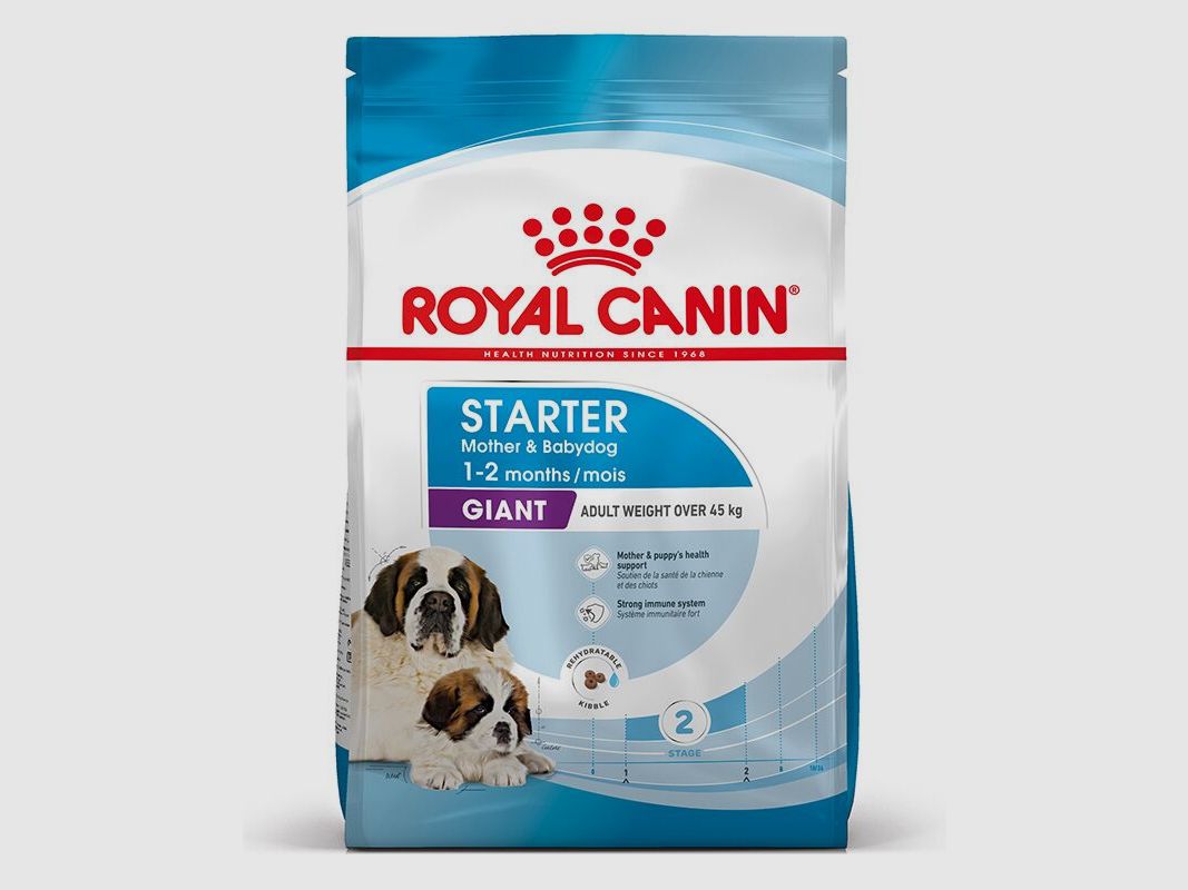 ROYAL CANIN Sehr Große Hunde Trockenfutter Starter Giant tragende Hündin und Welpen 15 Kg