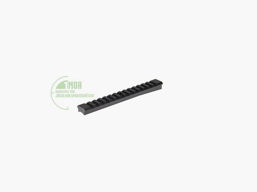 Picatinny rail for BERGARA BA13 TD