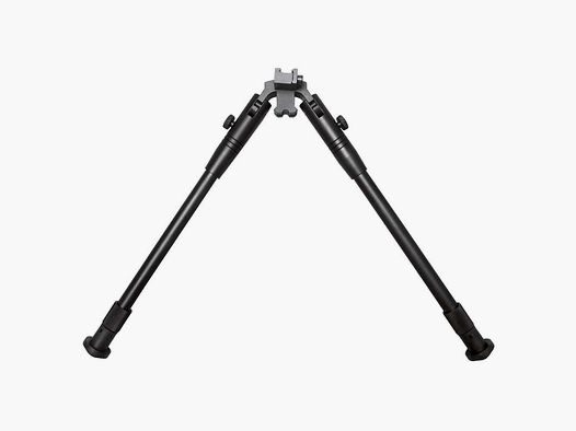 Bipiede 083