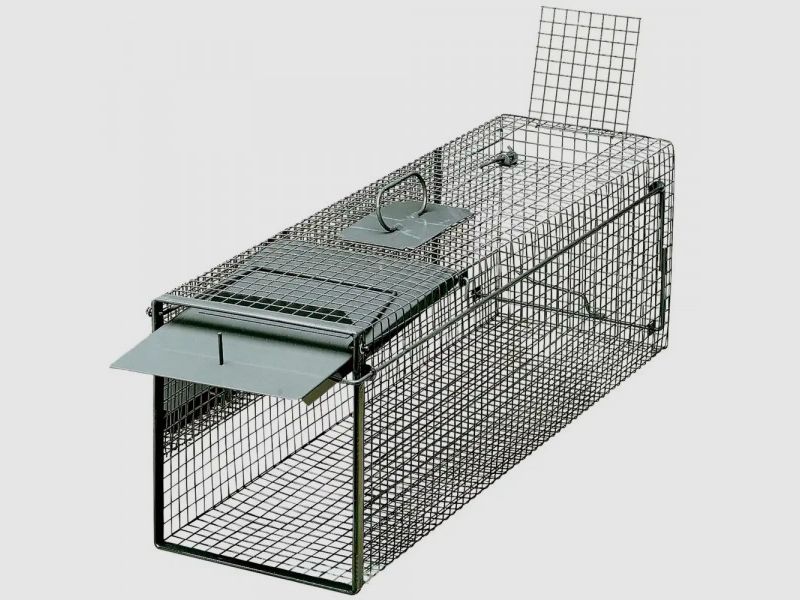 LIVING TRAP / TRAP - SINGLE DOOR - 103x28x32 CM - GREEN