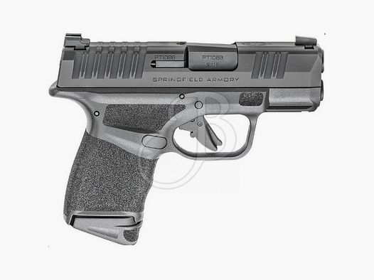 HS PRODUKT-SPRINGFIELD A. – HELLCAT – CAL 9×19