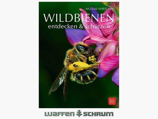 Gräfe & Unzer Wildbienen entdecken & schützen