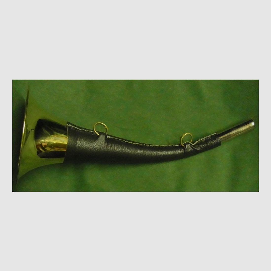 Signalhorn, 300