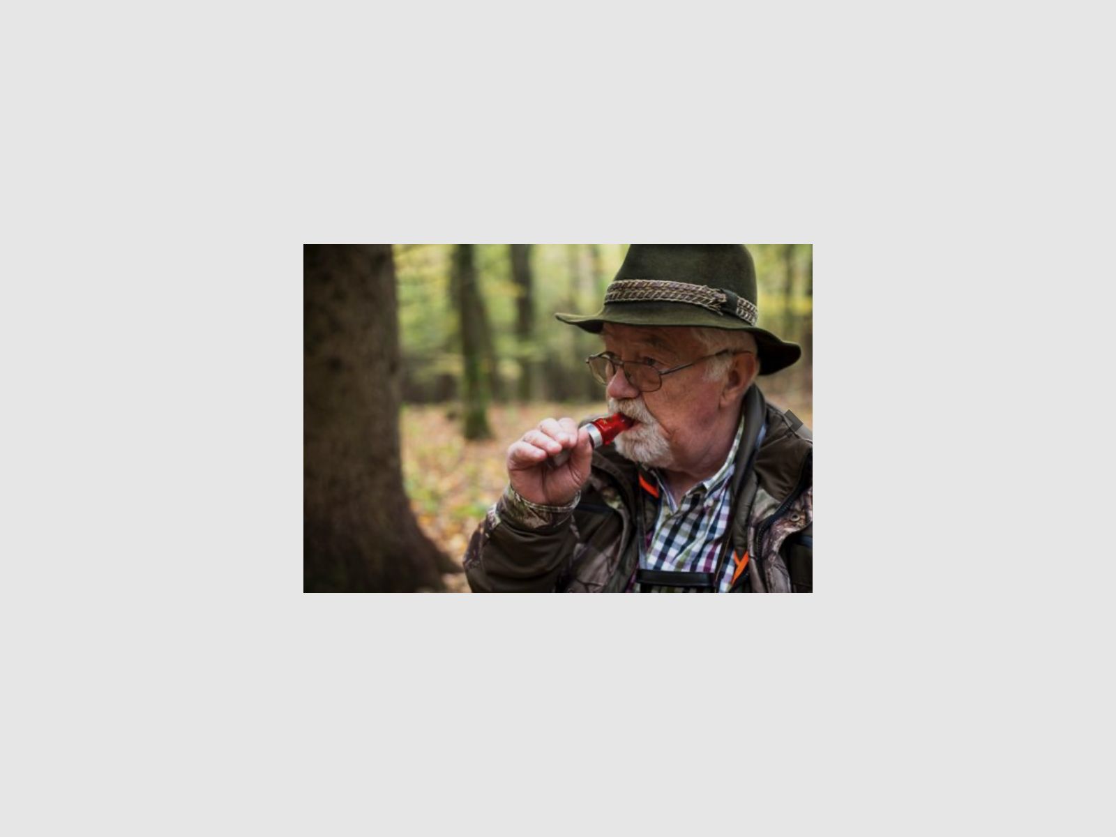 WEISSKIRCHEN Gänselocker Acryl