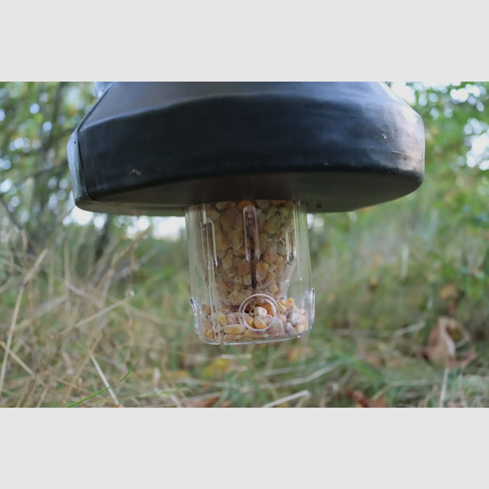 Eurohunt Universal Feed Dispenser