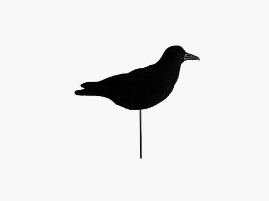 Stepland Flocked Crow – Flocked Crow