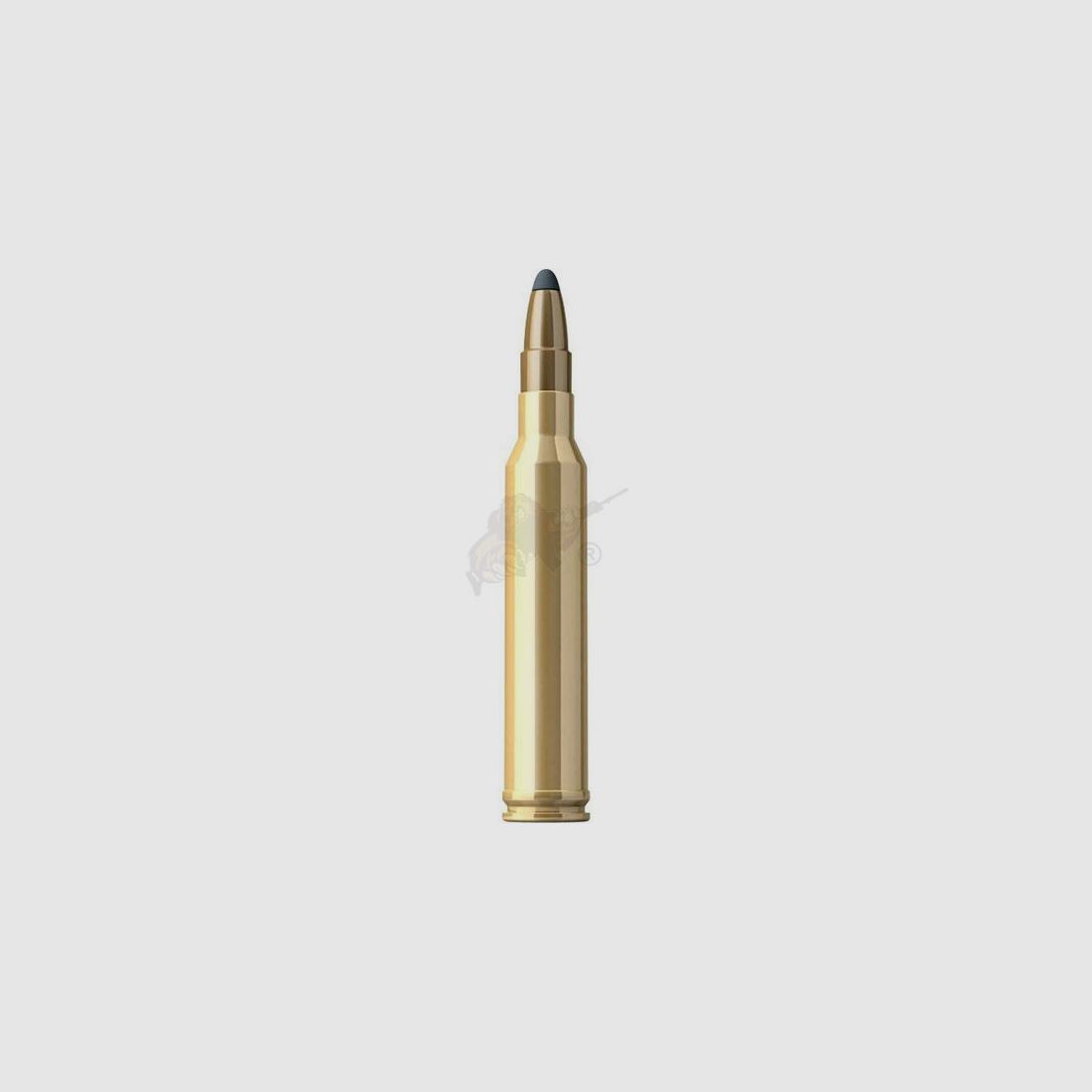 Patronen 7 mm Rem. Teilmantel SPCE 173 grs.