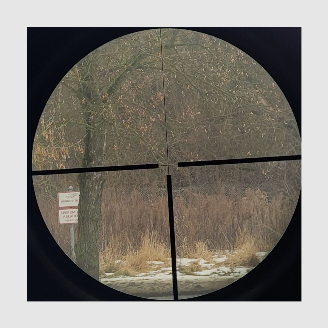 ZF DOCTER OPTIC   3 - 12 x 56 -M- VZF