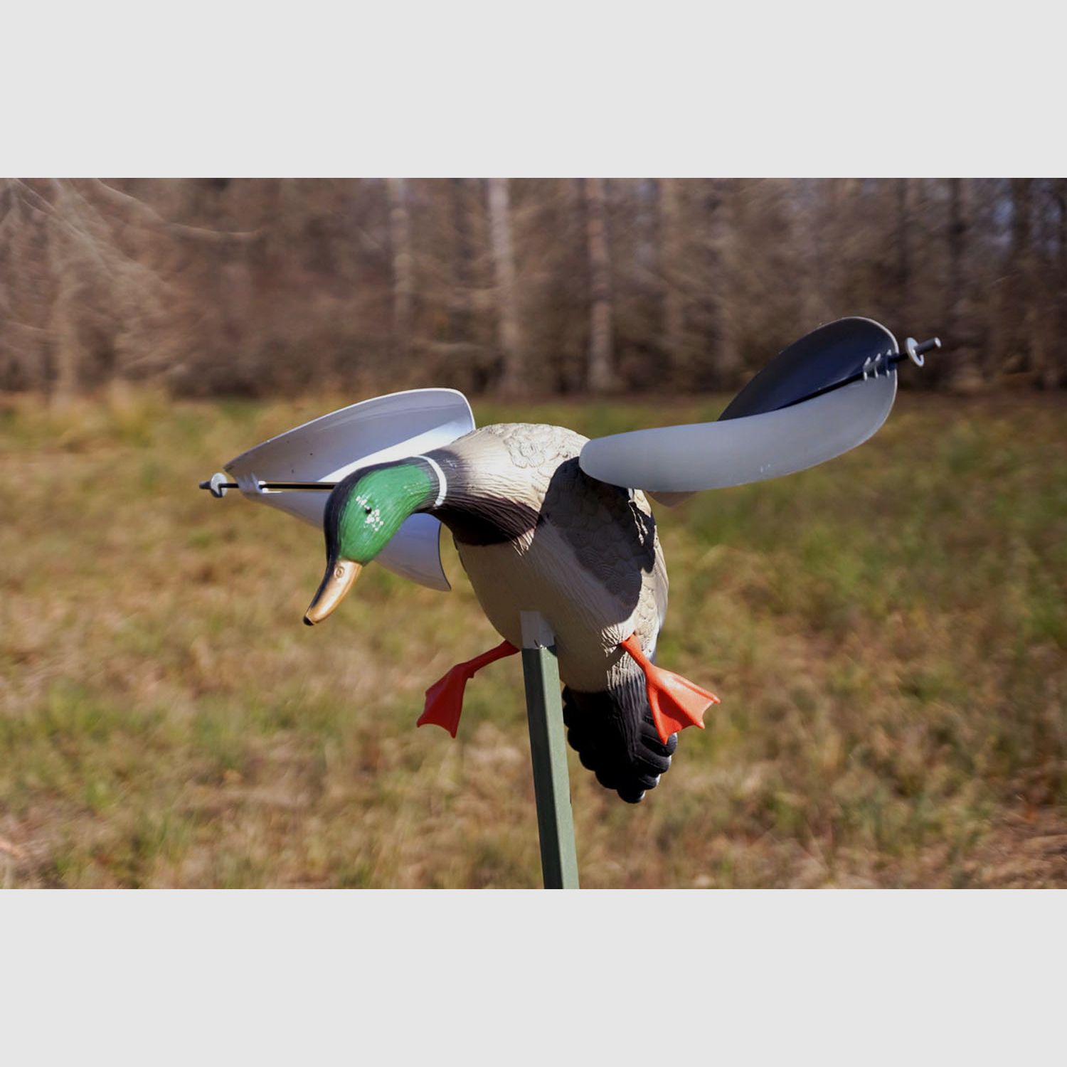 MOJO Wind Duck (Wind-Ente)