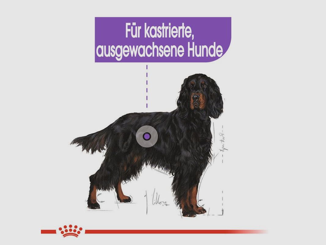ROYAL CANIN Kastrierte Große Hunde Trockenfutter Sterilised Maxi