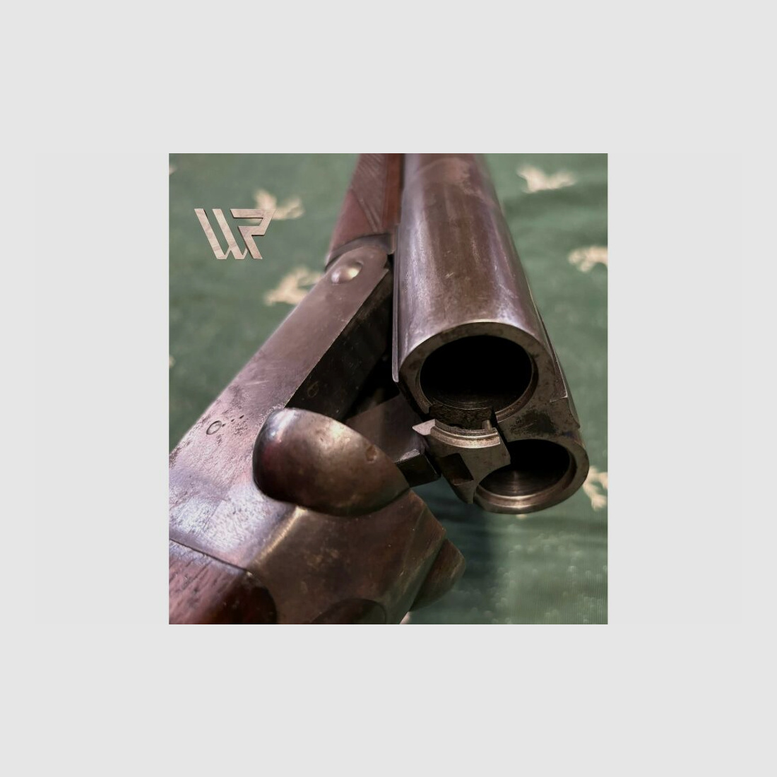 Fosil Robust Brevek - 12/65