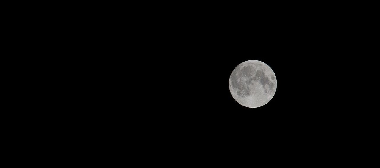 The Best Scopes for Night Hunting
