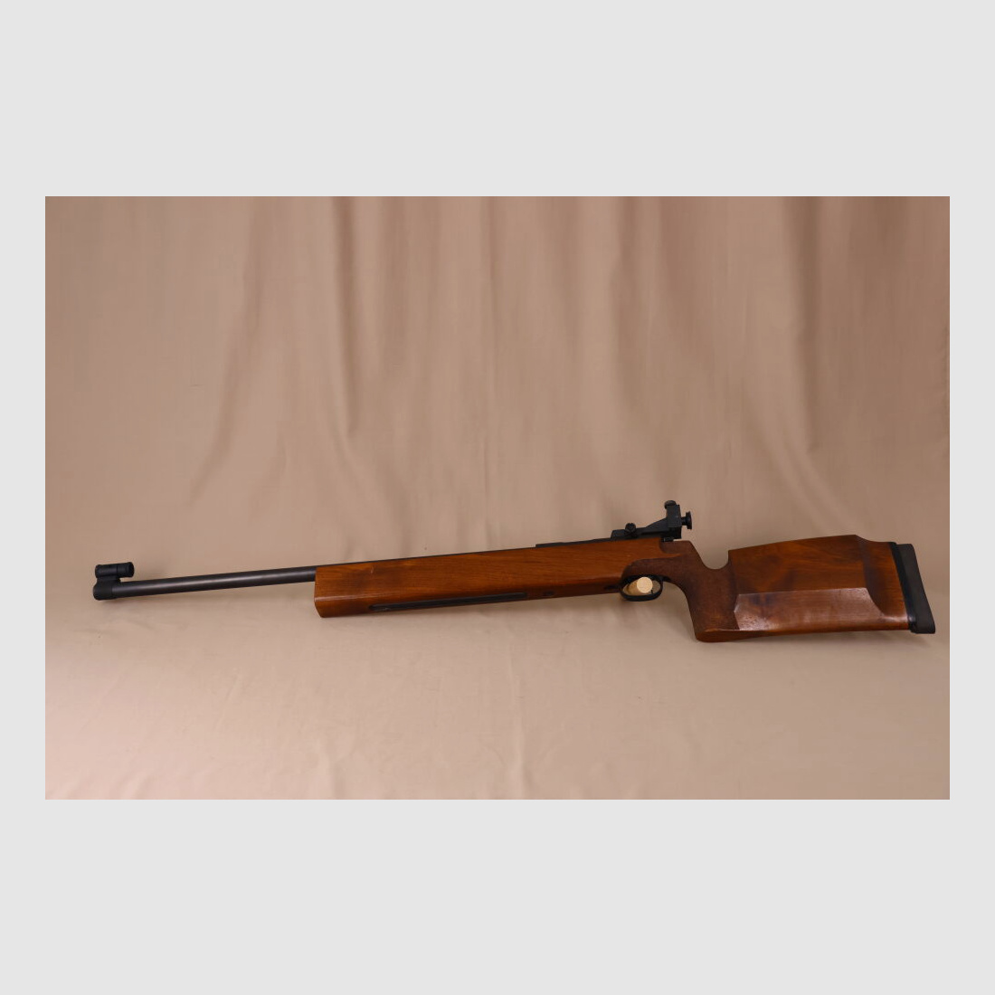 Carl Walther Match