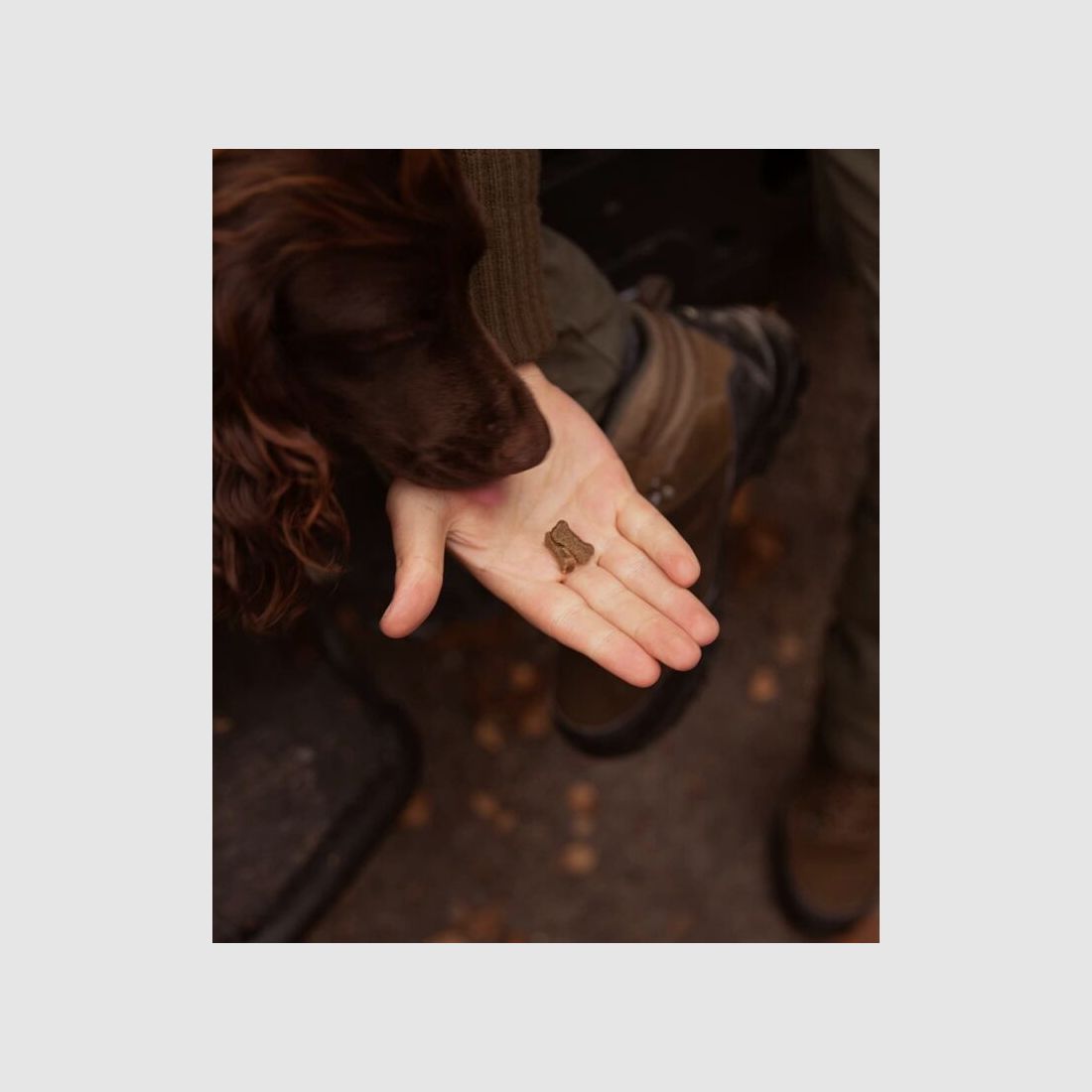 Essential Foods Essential Mini Snacks Lachs 100 g