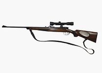 Steyr Mannlicher GK