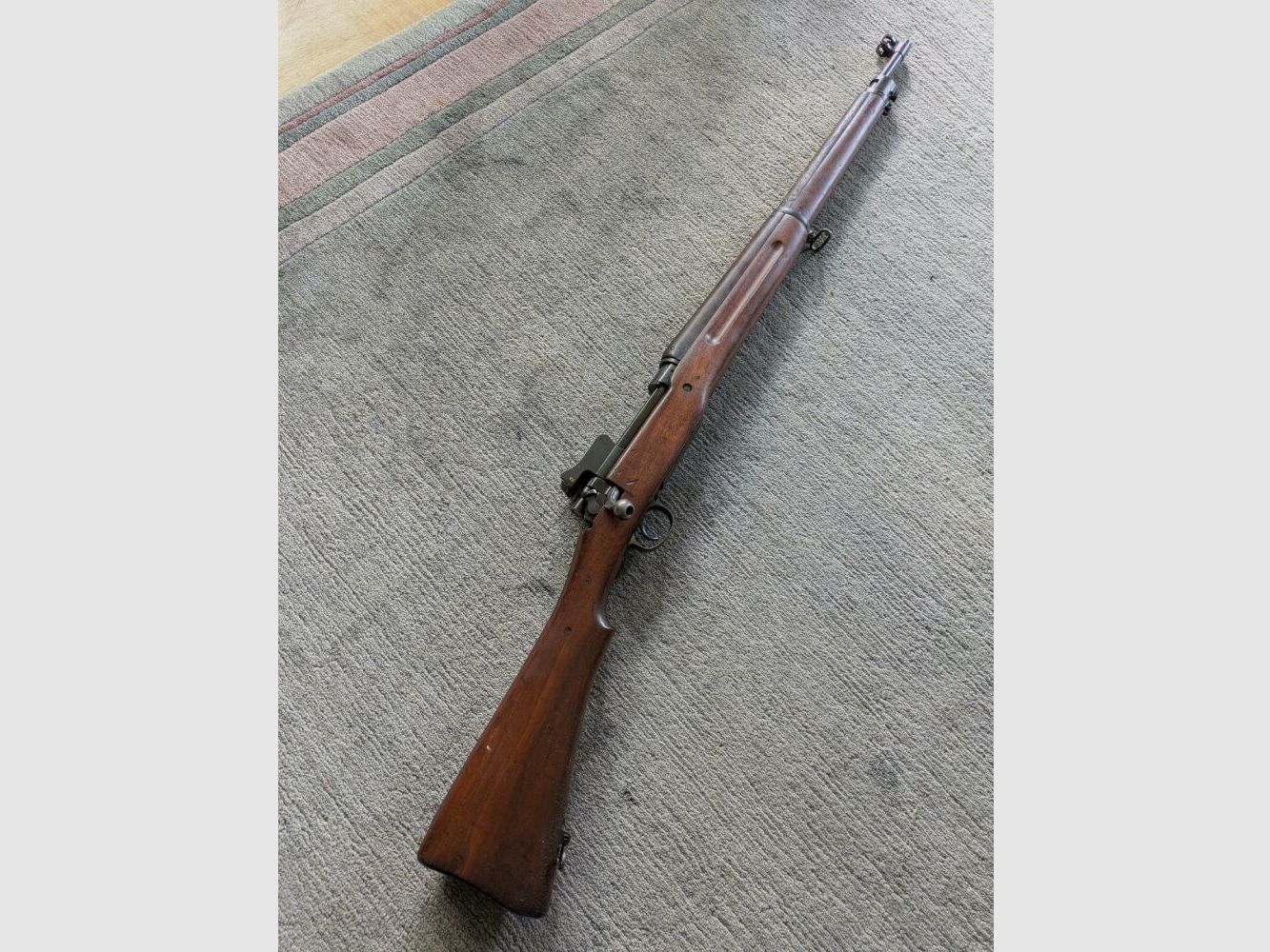 Remington P17