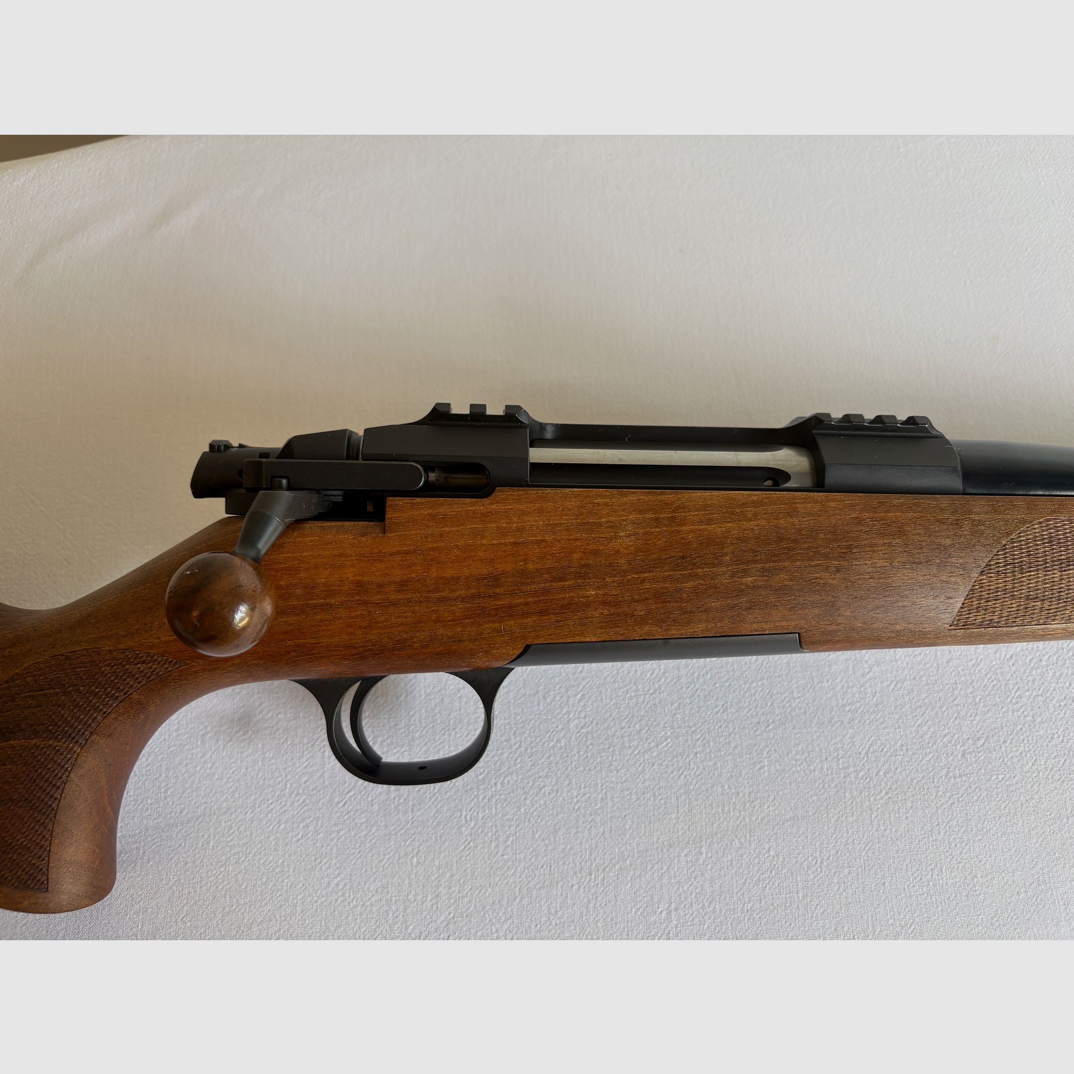 Action en acier HM Calibre .30-06 Springfield – avec 2 chargeurs