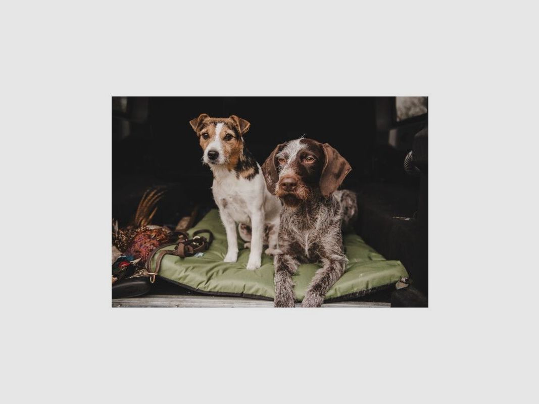 ALT_Farm-Land Hundematte Profi Oliv