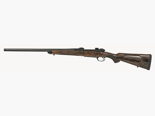 Reimer Johannsen – Modelo Carbono