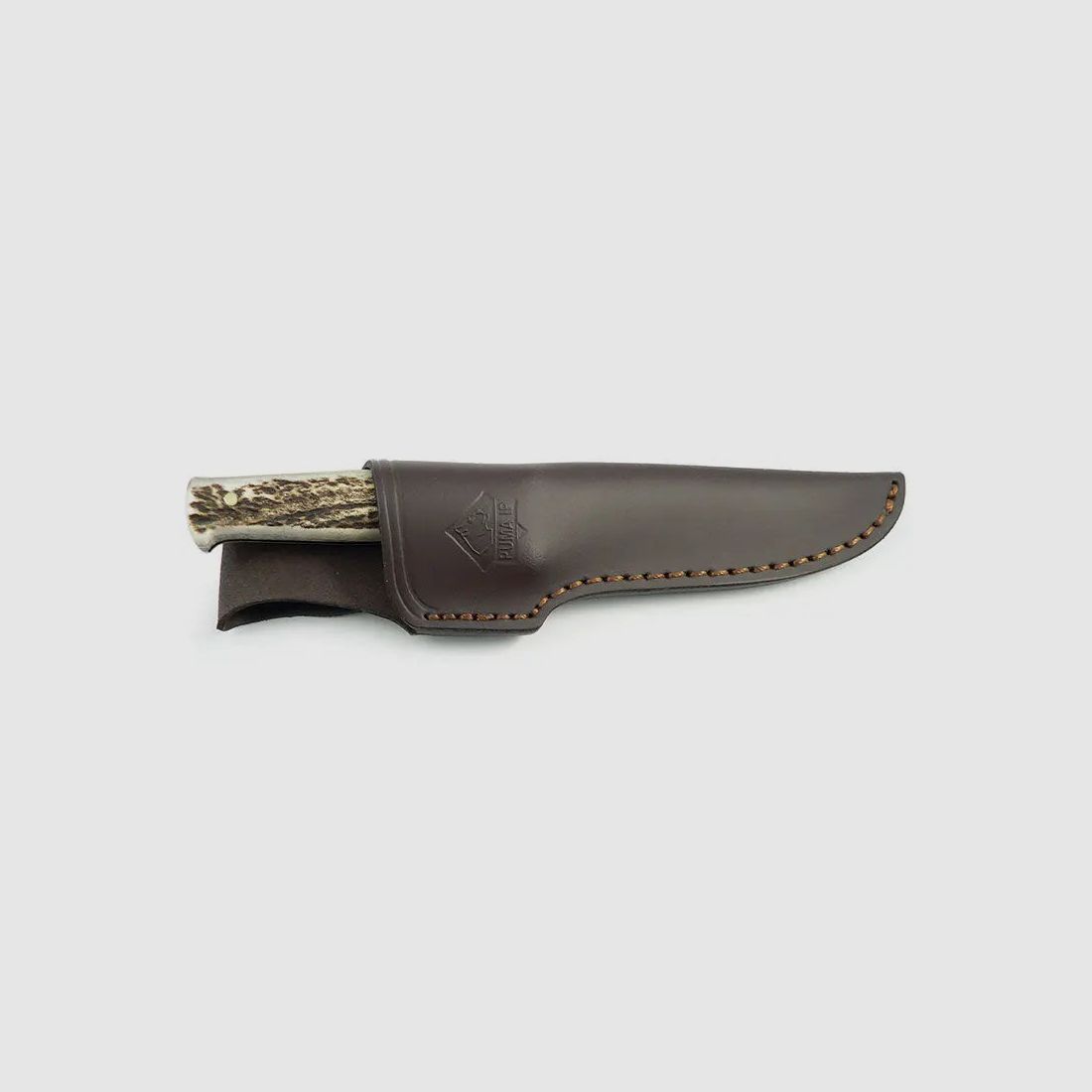 PUMA IP le gibier cerf