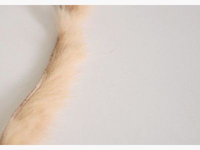 Mink-Zonker – Tan