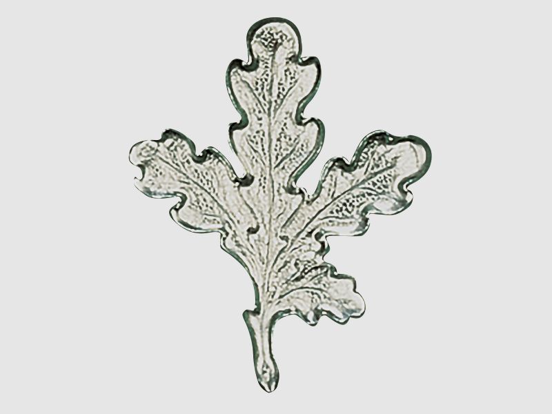 Oak leaf