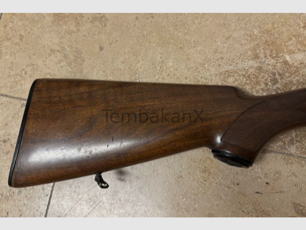 Sauer Beretta ohne 12/70